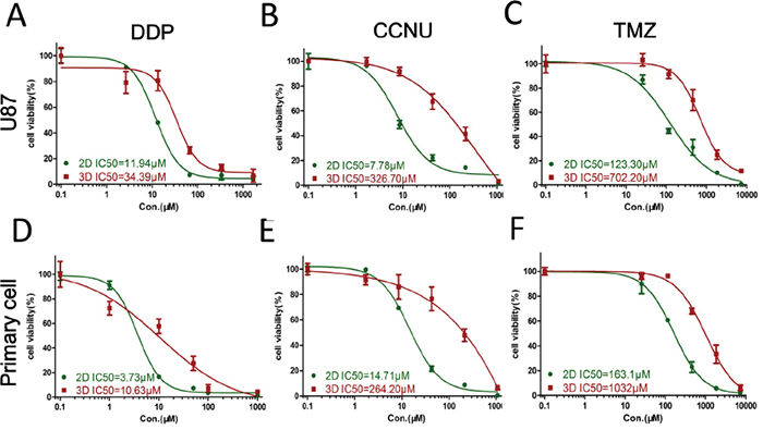 Glioma cell responses to chemotherapeutics.
