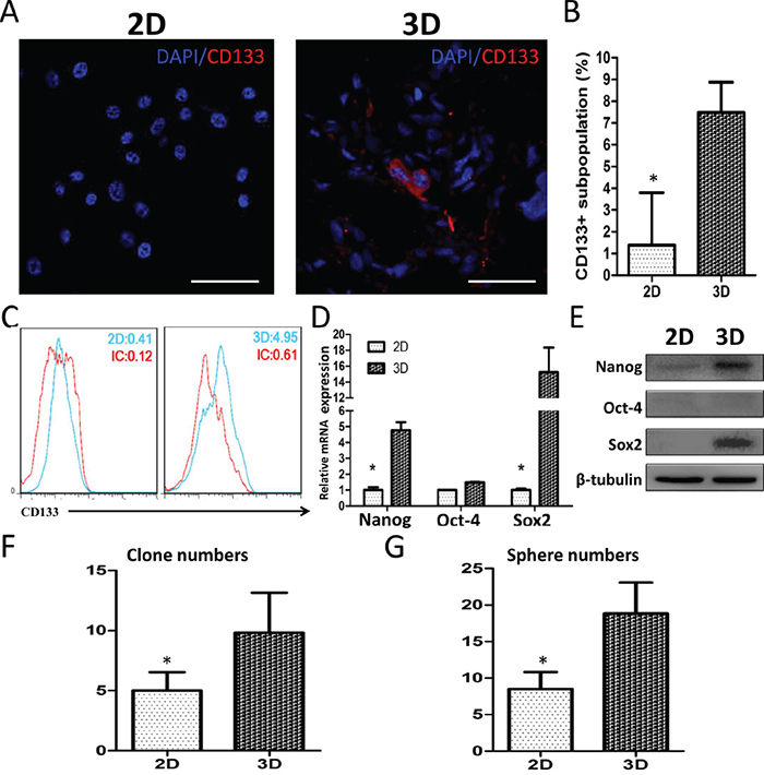 U87 cell stemness in 3D culture.