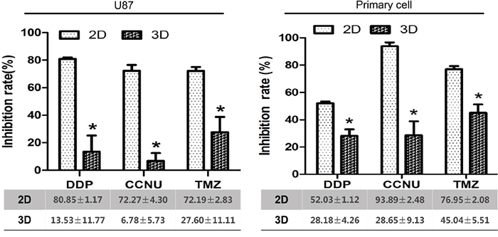 Inhibition of growth of U87 and primary glioma cells by DDP, CCNU and TMZ in 2D vs. 3D culture.