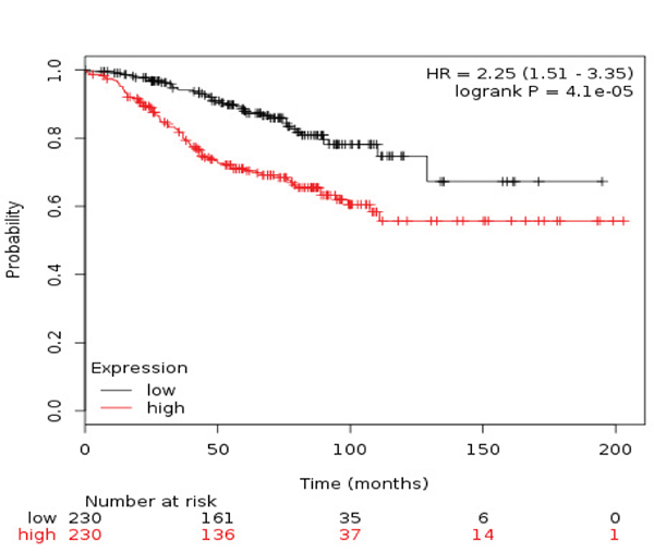 Association of the combined analyses of TRIP13+RAD51+MCM with RFS in ER+/HER2- patients.