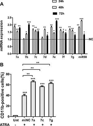 Let-7 miRNAs promoted granulocytic differentiation of NB4 cells.