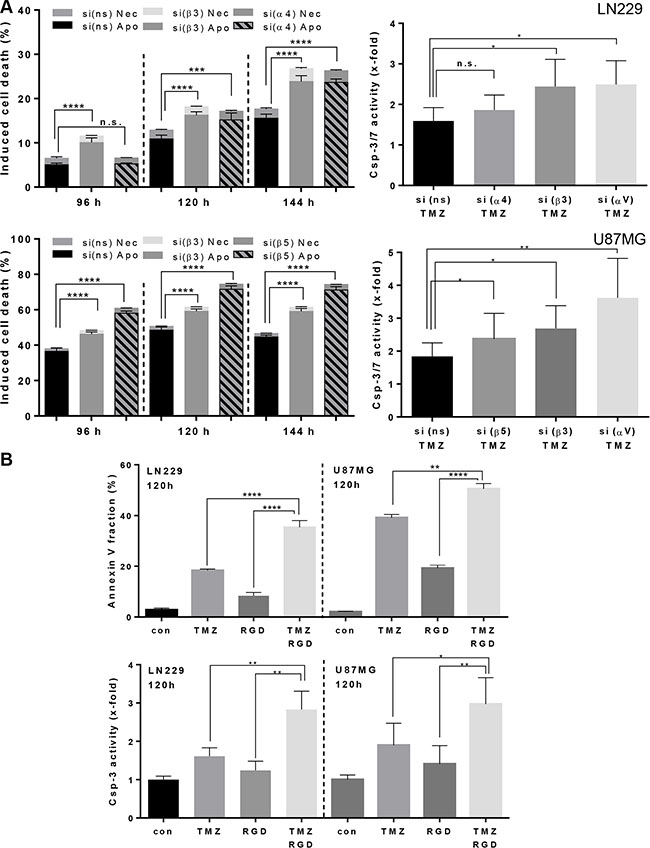 Induction of apoptosis/necrosis and caspase-3/7 activity.