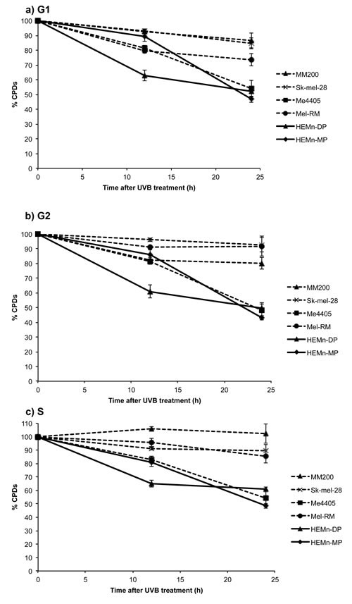 Repair of CPDs in melanoma and melanocytes in individual phases of the cell cycle: All cell lines were divided into individual cell cycle phases, using propidium iodide staining and the repair of CPDs was measured in each individual phase.