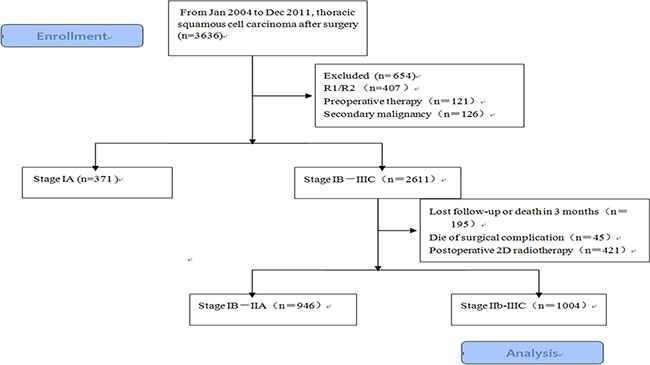 Flow diagram of the patients received radical surgery in Chinese Academy of Medical Sciences, 1004 patients in stage IIb-III were enrolled.