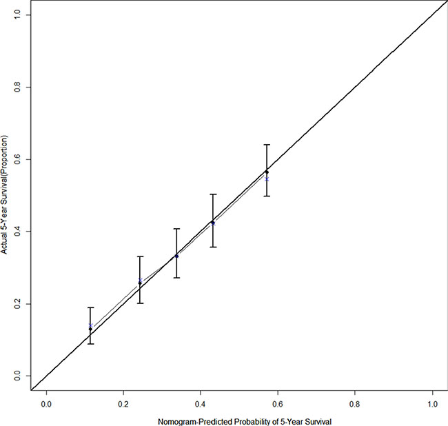 The calibration curve for predicting 5-year survival after esophagectomy in stage IIb&#x2212;III thoracic ESCC patients, the nomogram-predicted probability of OS is plotted on the x axis; the actual observed OS is plotted on the y axis.