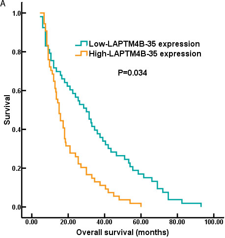 The survival curves of NSCLC patients with LAPTM4B-35 protein expression.