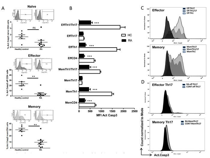 Active Caspase-3 as an index of AICD in Human RA and control T helper cells.