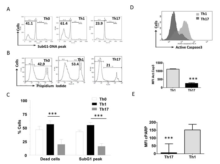 Characterization of differential AICD susceptibility in T helper cells.