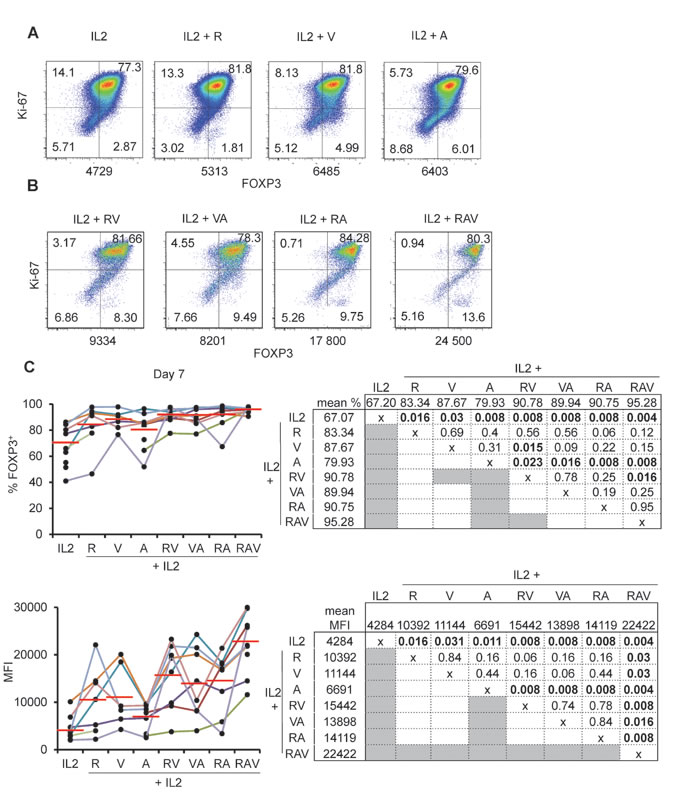 nTreg FOXP3 expression following expansion under IL-2, rapamycin, azacytidin and vorinostat combinations.