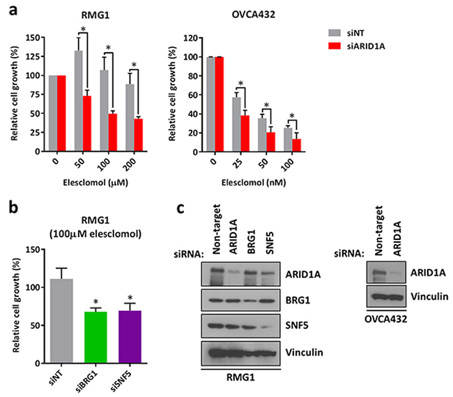 Knockdown of ARID1A expression in ARID1A-wildtype ovarian cancer cells results in increased sensitivity to treatment with elesclomol.