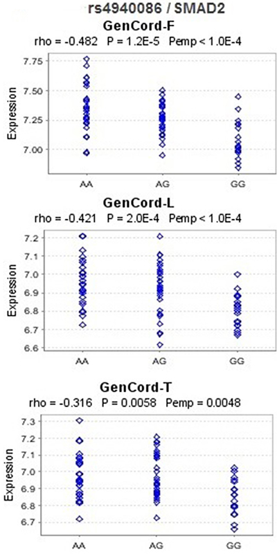 eQTL analysis for rs4940086 and SMAD2 in the Geneva GenCord study.