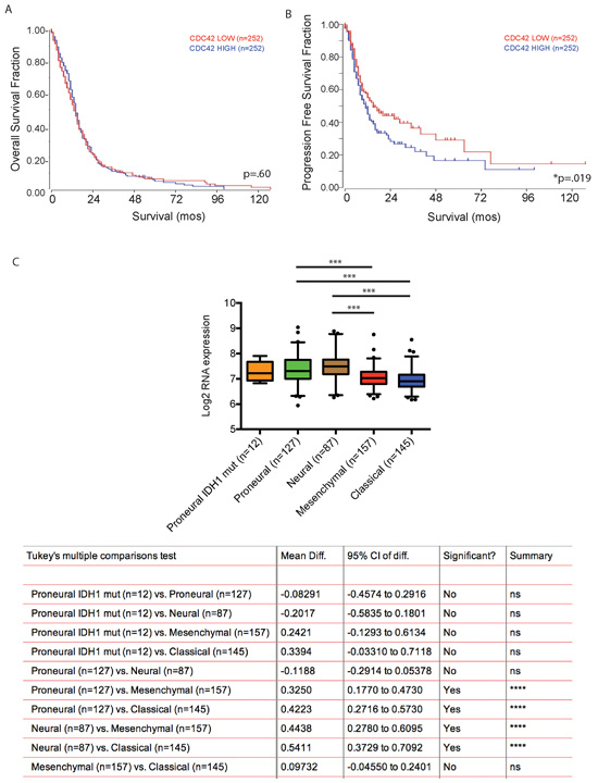 Cdc42 expression level does not predict patient survival with GBM but is associated with poor progression free survival.