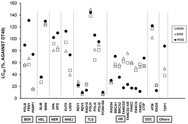 DT40 cell-based DNA damage response assay for IPMS, MMS and EMS.