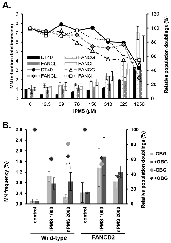 Micronucleus induction in wild-type and FANC-deficient cells treated with IPMS.