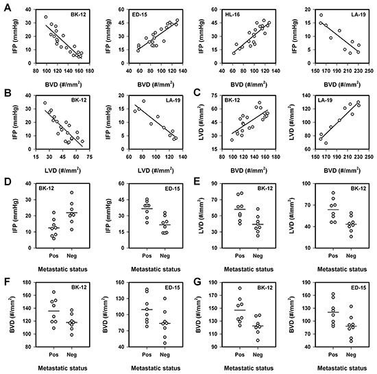 Interstitial fluid pressure (IFP), blood vessel density (BVD), lymph vessel density (LVD), and lymph node metastasis in BK-12, ED-15, HL-16, and LA-19 tumors.