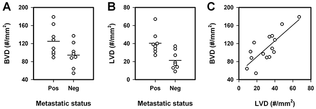 Blood vessel density (BVD), lymph vessel density (LVD), and lymph node metastasis in human cervix carcinoma.