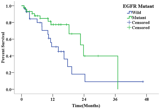 Kaplan-Meier curves for overall survival in patients with different EGFR mutation statuses after the diagnosis of final brain metastasis (P&#x003D;0.028).