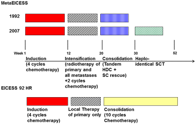 Schematic overview: Treatment strategies for MetaEICESS protocols 1992 and 2007 as well as EICESS 92 High-Risk (HR).