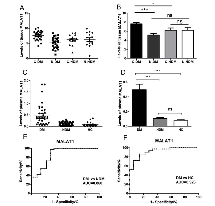 Relative tissue and plasma MALAT1 expression levels and its clinical significance in gastric cancer patients and healthy controls.