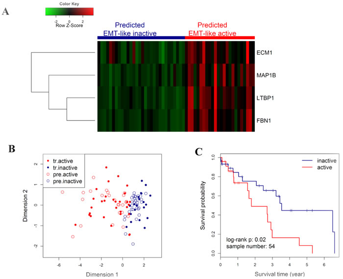 Outcome prediction in an independent NSCLC cohort from TCGA by EMT-like kNN predictor.