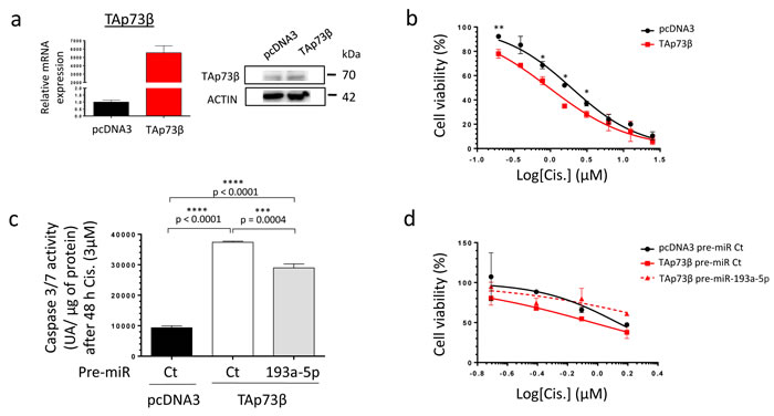The TAp73&#x3b2;-mediated Cisplatin induced cell death is opposed by the miR-193a-5p in human Bone Sarcoma cells.
