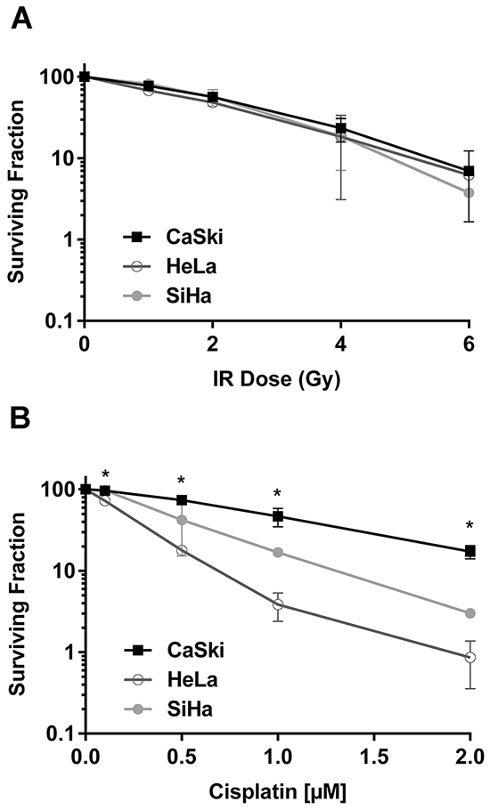 CaSki cells that express PIK3CA-WT and PIK3CA-E545K are resistant to cisplatin but not IR.