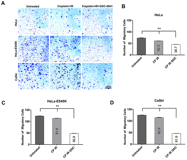 Cervical cancer cells expressing PIK3CA-E545K have a more migratory phenotype in transwell migration assays.