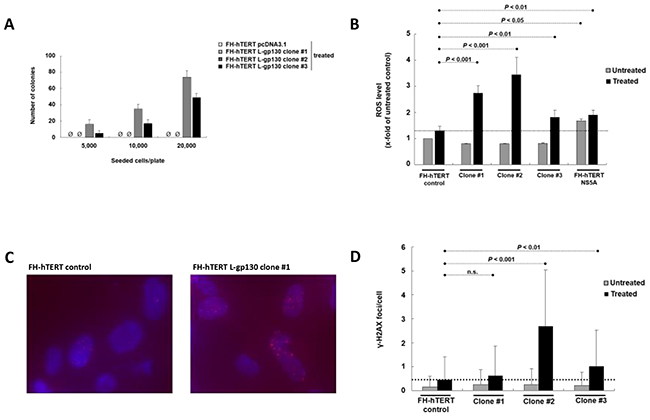 Challenge with oxidative stress and consequences of higher ROS levels.