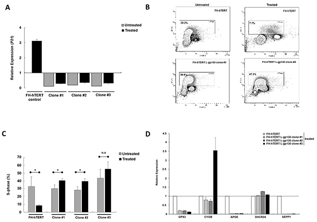 Mechanisms of ROS-induced transformation.