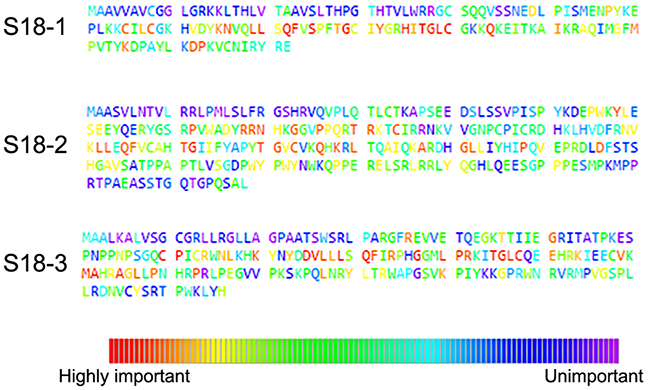 Evolutionary trace analysis of S18 family proteins.