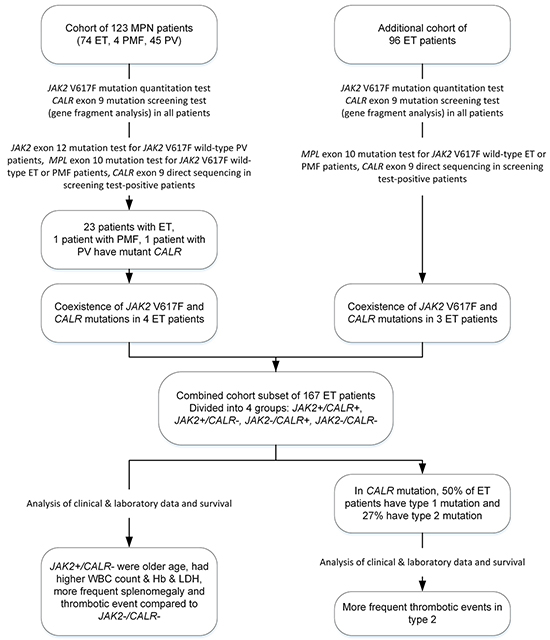 Flow chart describing the patient cohorts analyzed in this study.