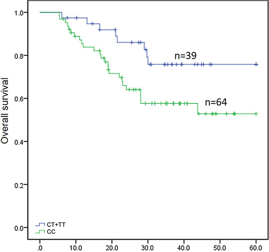 Survival analysis for 103 patients with gastric cancer depending on rs717620 status.