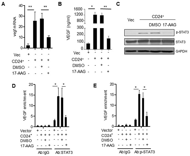 Hsp90 is the mediator of CD24--VEGF signaling pathway.