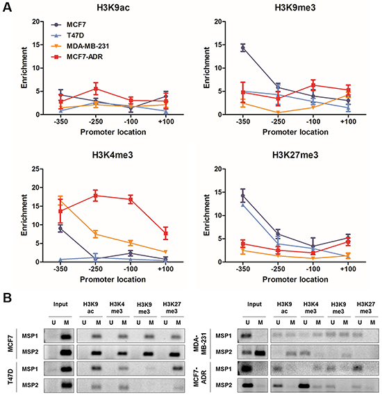Histone modification and associated-DNA methylation patterns of LY6K.