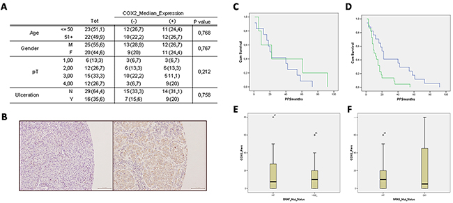 A. Clinical-pathological characteristics of melanoma patients and tumours and relation to COX-2 expression.