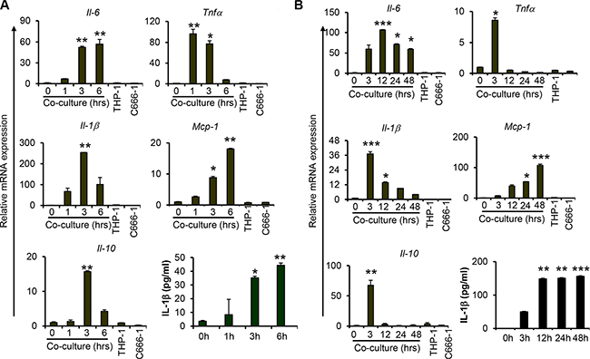 Co-culture of macrophages with nasopharyngeal carcinoma cells increases proinflammatory cytokine expression.