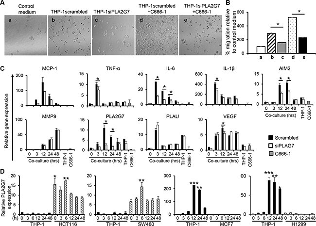 PLA2G7 silencing leads to reduction in cell migration and reduced induction of inflammatory genes.