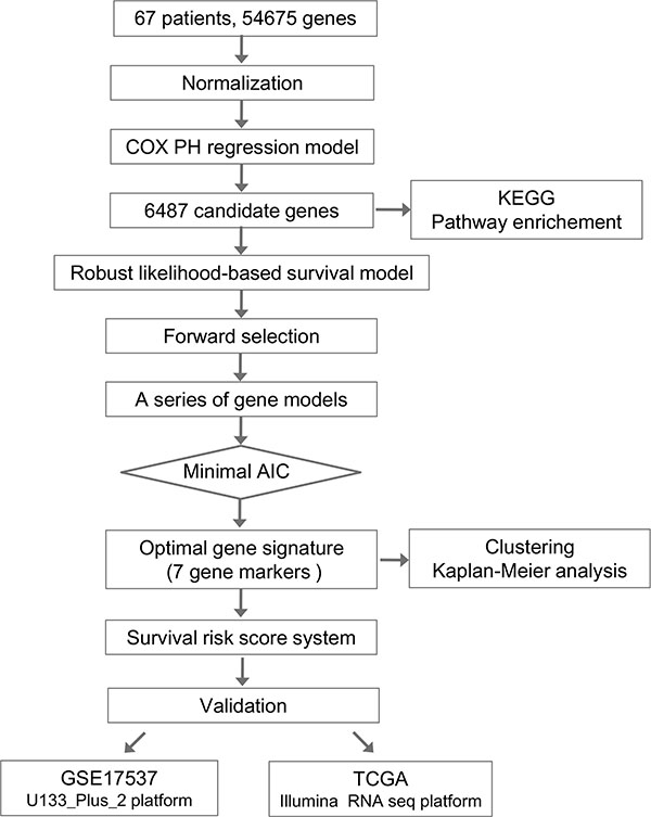Flow chart of methods for building the seven-gene signature based on 64 Chinese colorectal cancer (CRC) samples.