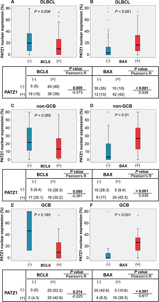 PATZ1, BCL6 and BAX correlations in DLBCLs.