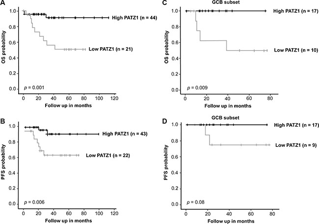 PATZ1 protein expression correlates with survival in DLBCL patients treated with R-CHOP.