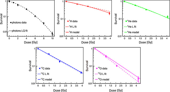 Clonogenic cell survival as a function of dose and radiation quality.