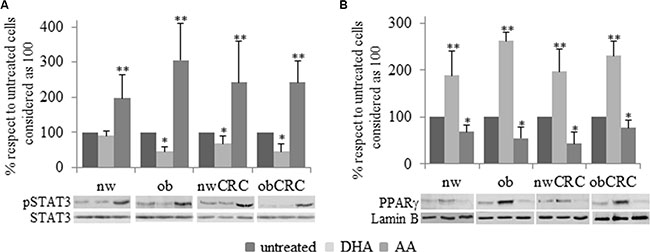 Immunoblotting analysis of pSTAT3 and PPAR&#x03B3; after PUFA treatment.