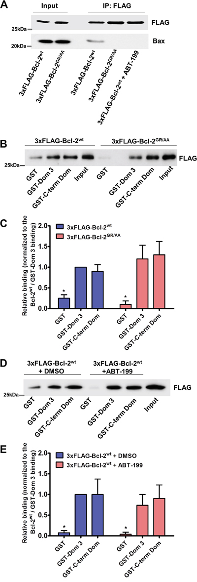 Bcl-2GR/AA and Bcl-2wt exposed to ABT-199 fail to bind pro-apoptotic Bax, but remain capable of binding the Dom 3 and the C-term Dom of IP3R.