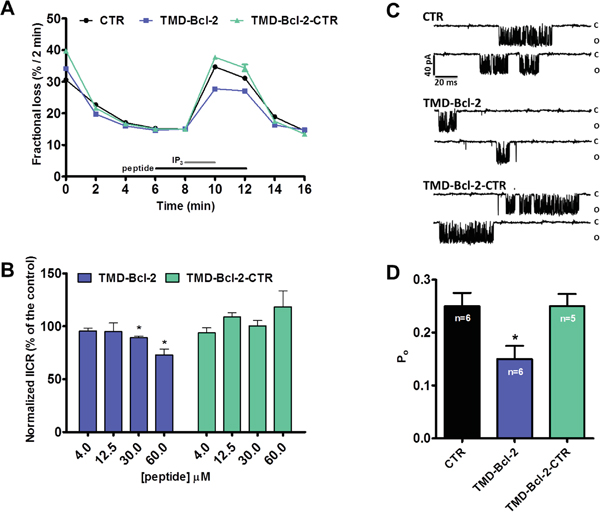 The TMD of Bcl-2 is sufficient to inhibit IP3Rs in permeabilized cell systems and single-channel recordings.