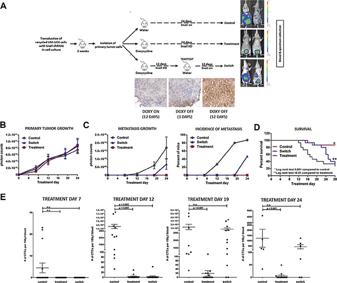 Inducible