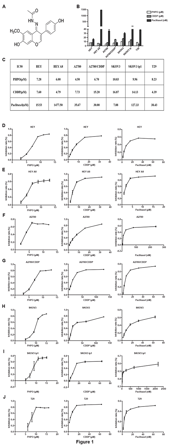 PHPO inhibits cell proliferation.