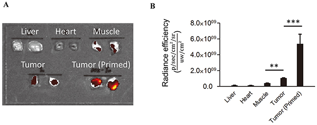 exDNA is enriched in tumors.