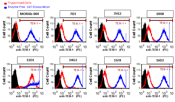 Cell surface expression of endosialin/TEM-1 is trypsin-sensitive.