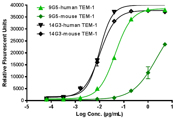 Cross-reactivity of select mAbs with mouse endosialin/TEM-1.