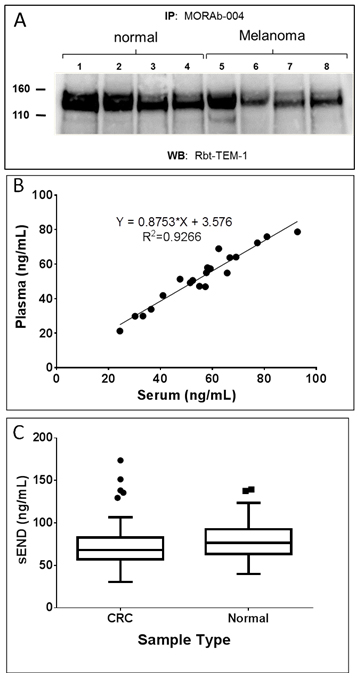 Detection of soluble endosialin/TEM-1 (sEND) in human serum.
